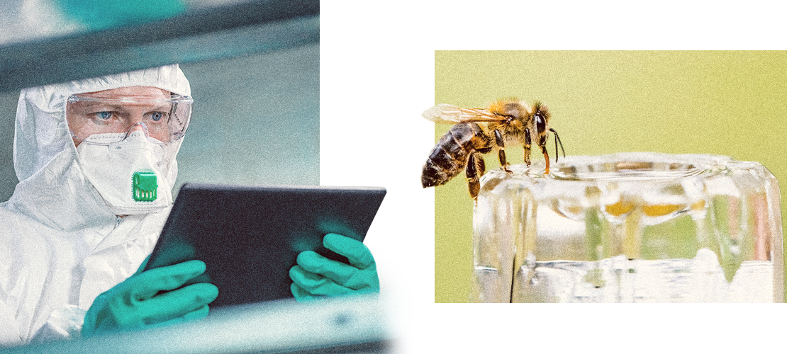 Um cientista e uma abelha
